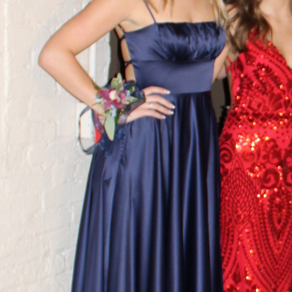 Windsor Formal Dress - Picture 2 of 4